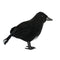 Halloween Stuffed Feather Crow Bird Black Ravens Fancy Prop Decor Home C9M2