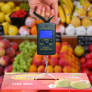 Mini Digital Display Fishing Scales w/ Hanging Hook for Fishing Kitchen Travel