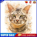 Cat Oil Paint By Numbers DIY Handpainted on Canvas Wall Art Picture Crafts