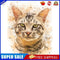 Cat Oil Paint By Numbers DIY Handpainted on Canvas Wall Art Picture Crafts