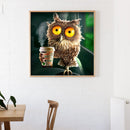 30 X 30cm Mosaic Craft Poster DIY Funny Owl Diamond Painting Picture Wall D