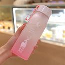 500ml Sports Water Bottle Gradient Frosted Portable Drinking Cup (Pink) Newly