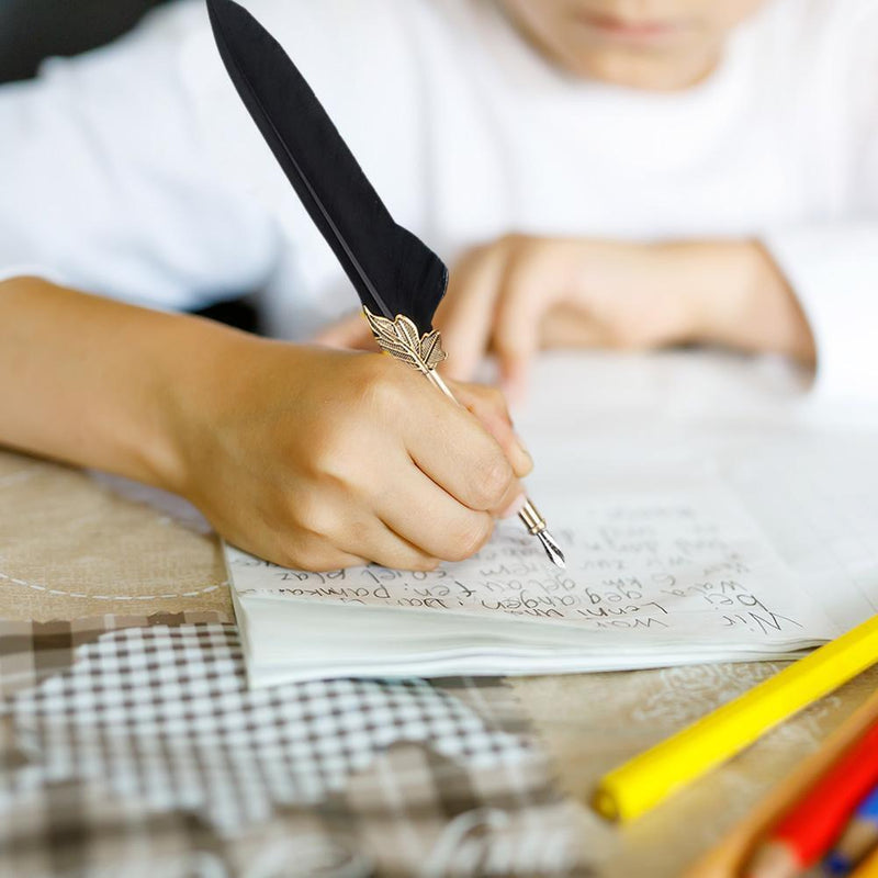 Retro Feather Dip Pen Writing Ink Set Quill Pen Fountain Pens Gift Box