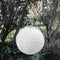 Xintiandi LED Solar Lamp with Ball, Waterproof, Outdoor Weddings, Decor