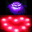 LED Night Lamp Romantic Rose Flower Night Light Color Changed Lamp LED  Newly
