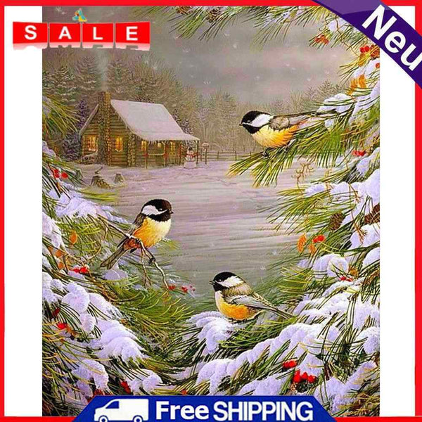 Handpainted DIY Christmas Bird Oil Paint by Numbers Kit Pictures Craft Gifts