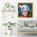 Christmas Cat Oil Paint By Numbers Kits Canvas DIY Picture Hand Painted Wall Art