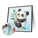 Panda Frameless DIY Oil Paint by Numbers Hand Painted Artwork Gift (S538)