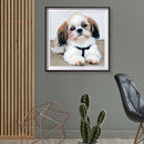 5D DIY Diamond Painting Cute Puppy Full Drill Rhinestone Mosaic Art Picture