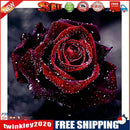 Rose 5D Diamond Painting Rhinestone Embroidery DIY Needlework Gift(Dark Red