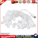 LED Crystal Ball String Lights USB Bubble Ball Fairy Lamp Decor (Warm 2m) Newly
