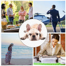 Reminder Timed Quantitative Pet Feeding Pet Supply Pet Feeder Food Dispenser