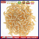 200Pcs Soft Plastic Fishing Lures Baits Maggots Worms Tackle light yellow