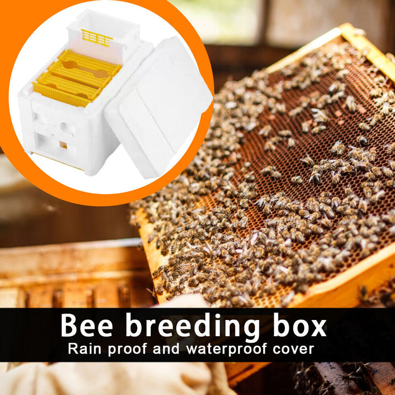Beehive Pollination King Bees Hive Box Beekeeping Case Beekeeper Supplies Newly