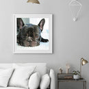 5D Diamond Painting Animal Full Square Rhinestone DIY Wall Home Decoration Gi