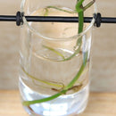Frame Plant Flower Pot Flower Arrangement Glass Vase Hydroponic Plant Vase