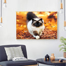 5D DIY Diamond Painting Kits Walking Cat Full Square Drill Wall Crafts Mosa