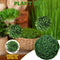 28CM Simulation Pflanze Ball Topiary Baum Home Outdoor Hochzeit Dekoration.