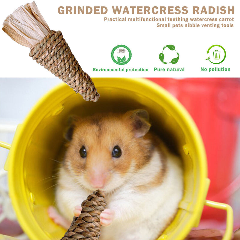 2pcs Rabbit Molar GameToy Woven Carrot Toss Water Grass Supplies for Small Pets