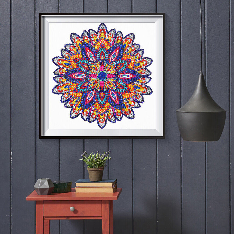 Partial Drill 5D Special Shape Diamond Painting Abstract Mandala Kit (X053)