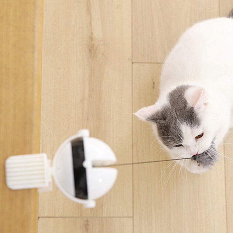 Electric Automatic Lifting Ball Cat Teaser Pet Puzzle Interactive Toys