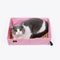 #A Waterproof Litter Box Bedpan Foldable Outdoor Travel Car Toilet Tray for Cat