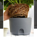 Watering Planter Self Watering Flower Pot Water Storage Basin (15.3cm) Newly