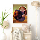 5D Turkey Mosaic Diamond Painting Drawing Full Round Drill DIY Art Handcraft Kit