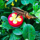 Handheld Hummingbird Feeder Mini Garden Bird Seed Food Container (Red)