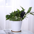 3-in-1 Soil PH Meter Flower Pot Hygrometer Tester Moisture Meter (Black)