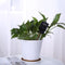 3-in-1 Soil PH Meter Flower Pot Hygrometer Tester Moisture Meter (Black)