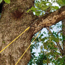 Branch Tree Cutter Trimmer Branch Chainsaw Manganese Steel High Reach Limb Rope