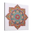 5D DIY Special Shaped Diamond Painting Mandala Cross Stitch Kits (DZ248) Newly