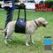 #A Adjustable Pet Strap Carrier Dog Walking Aid Vest Support Harness Supplies