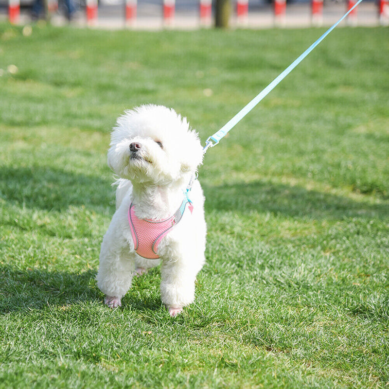 Adjustable Reflective Breathable Pet Harness with Lead Leash for Dog Cat Vest