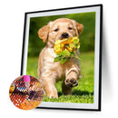 5D DIY Full Drill Diamond Painting Dog Embroidery Mosaic Craft Kits Home Decor