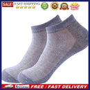 10 Pairs Cotton Low-Cut Liners Socks Solid Color Breathable Invisible Socks