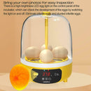 Automatic Egg Incubator Egg Turner Tray Hatching For Chicken D0V0