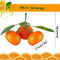 5PCS Realistic Lifelike Artificial Tangerine Fruit Food Home Y7O1 Oranges C8E1