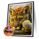 5D Diamond Painting Kits Animal Full Round Drill DIY Wall Mosaic Rhinestone A