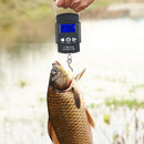 Maßgeschneiderter HANDGESCHMIEDETER DAMASKUS Stahl Jagd Skinner Fix Klinge Messer + Mantel B3-3273