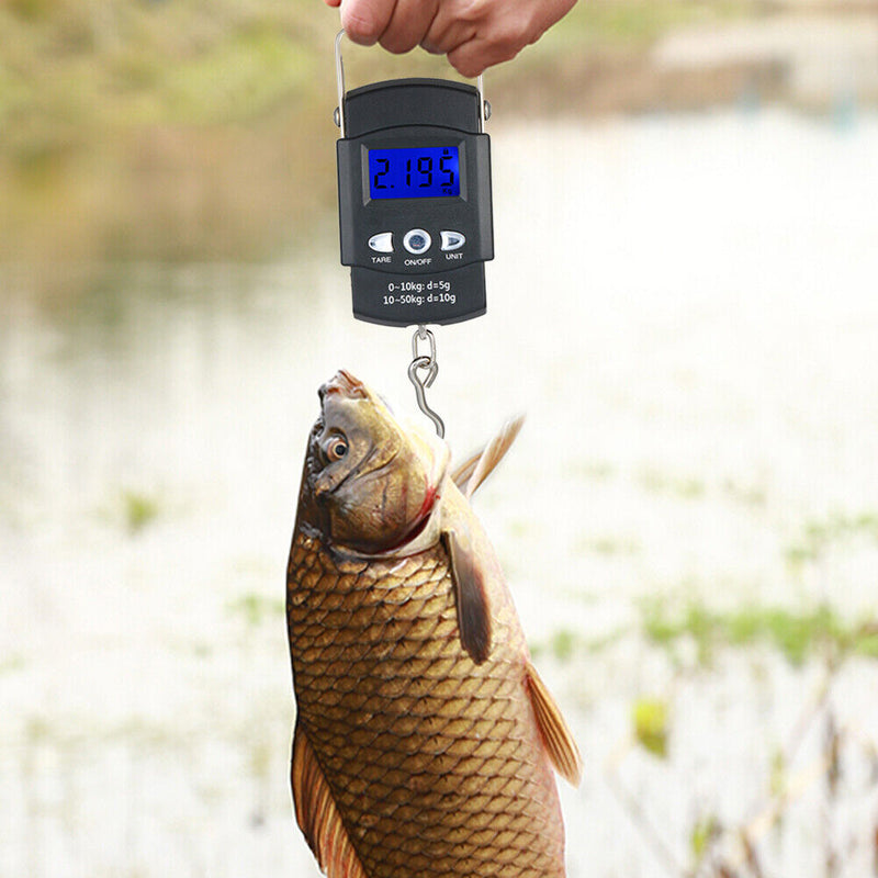 Maßgeschneiderter HANDGESCHMIEDETER DAMASKUS Stahl Jagd Skinner Fix Klinge Messer + Mantel B3-3273