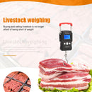 50kg/5g Portable Mini Electronic Hanging Scales Luggage Weighting Scales Newly