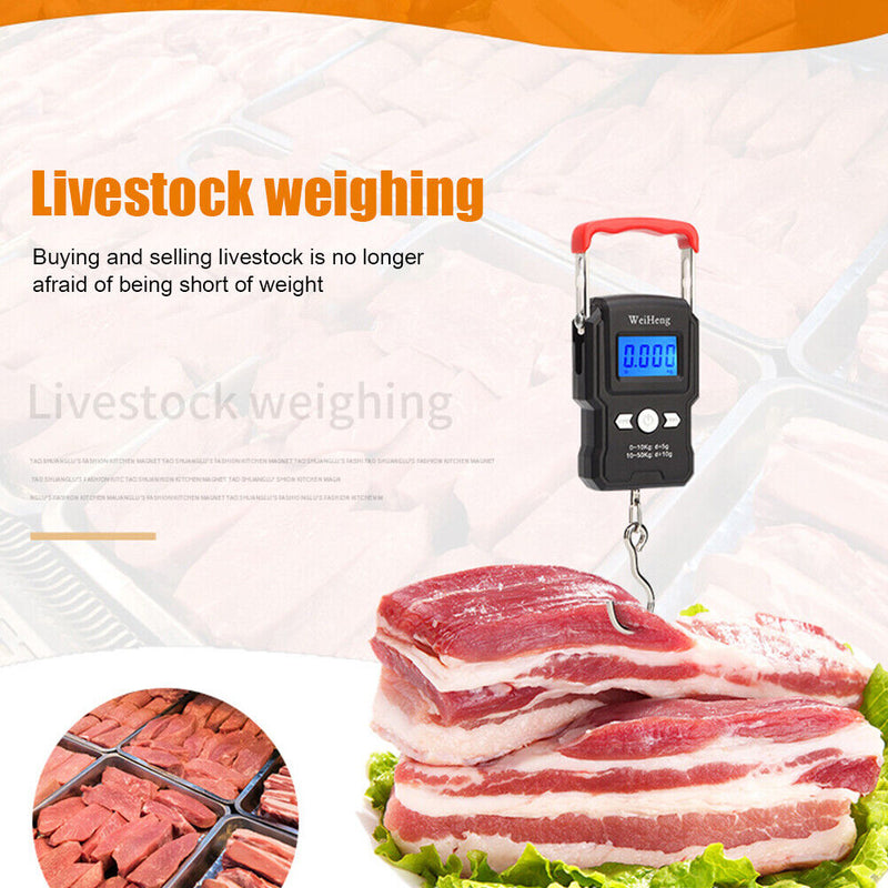 50kg/5g Portable Mini Electronic Hanging Scales Luggage Weighting Scales Newly