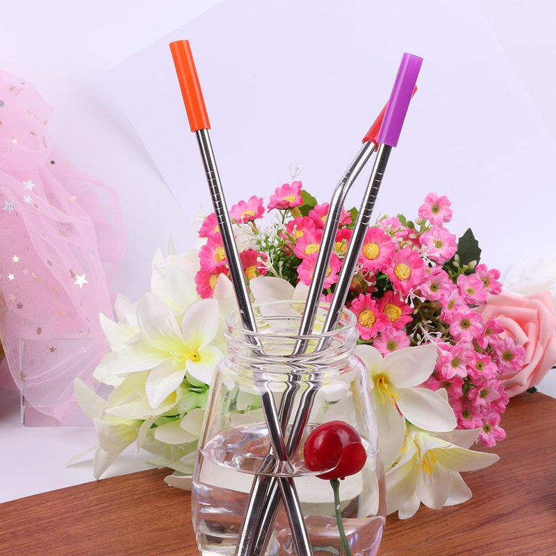 Stainless Steel Drinking Straw Reusable Silicone Cover Straw Dental Kit (2)