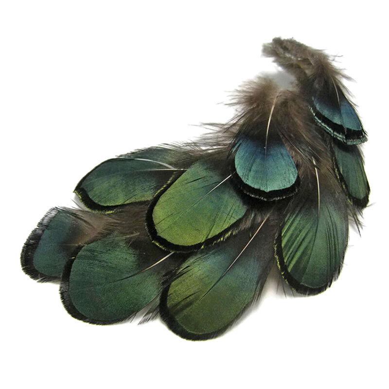 Amherst Golden Pheasant Feathers Lady Amherst Pheasant Feather Artificial Sale