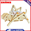 Physics Experiment Equipment DIY Materials School Project Educational Kits Gifts