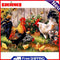 Yard Chicken Partial Oil Paint By Numbers DIY Handpainted Home Decoration Gifts