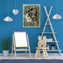 5D Diamond Painting Cat Full Round Drill Rhinestone DIY Animal Home Decorat