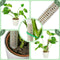 Moss Pole Monstera Creeper Plastic Climbing Column Potted Plant Stick Support`